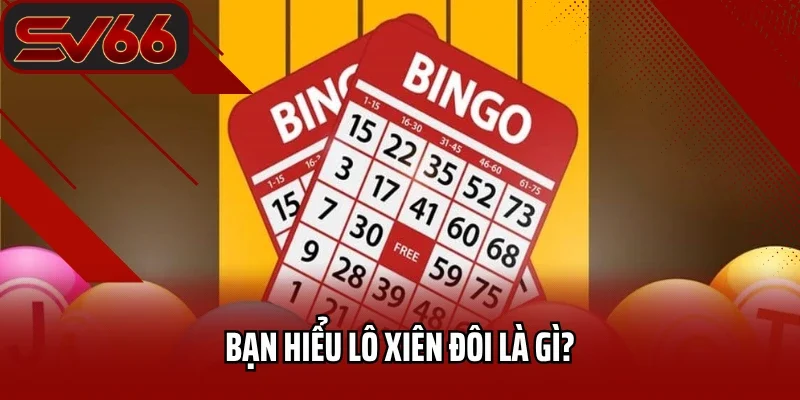 Lô Xiên Đôi Là Gì? Chia Sẻ Bí Kíp Chơi LoTo Xiên 2 Hiệu Quả 1 Bạn hiểu lô xiên 2 là gì?