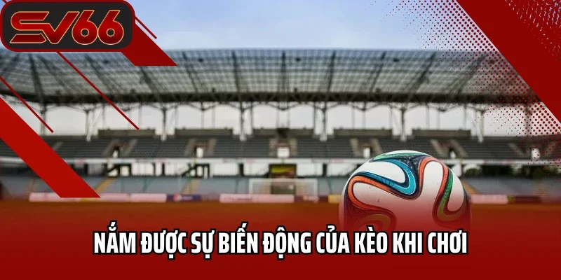 Kèo Châu Á SV66 - Bí Quyết Chinh Phục Mọi Trận Đấu 5 Nắm được sự biến động của kèo khi chơi